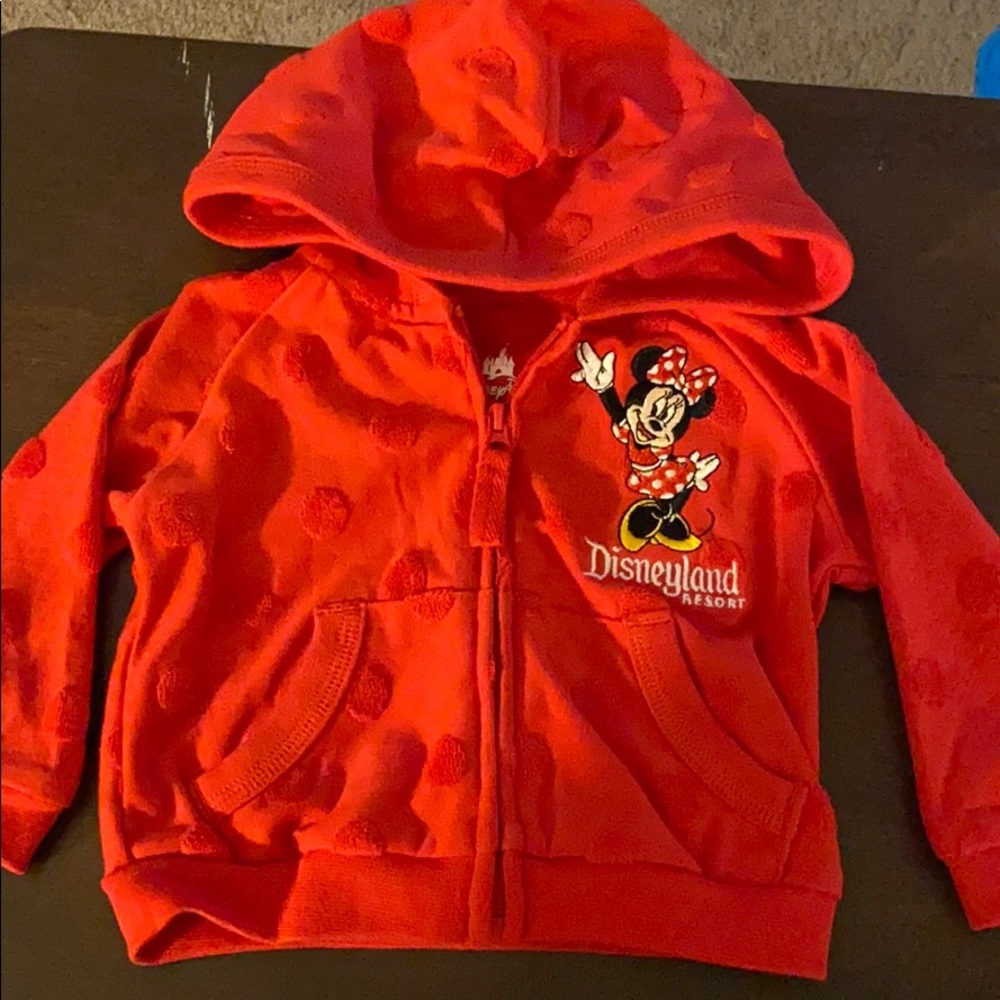 Disneyland Minnie hoodie